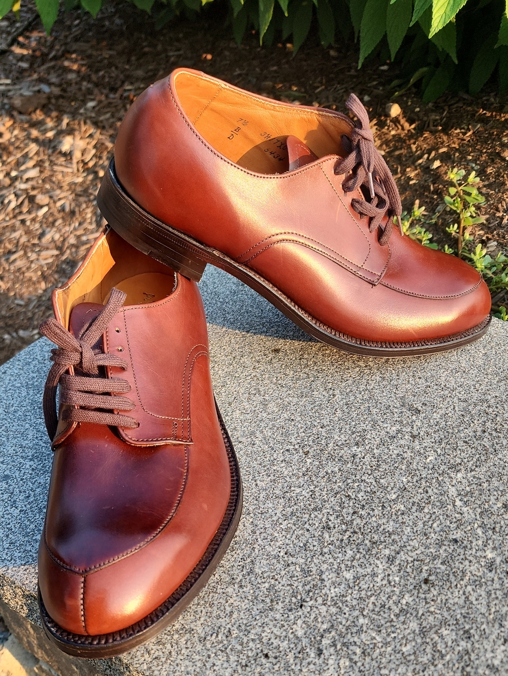 Alden 5434 V-Tip Leather Blucher Shoes (Algonquin Split Toe) size 7.5 D